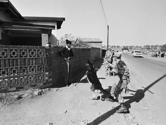 South African soldier holding back a dog from attacking a Black man 